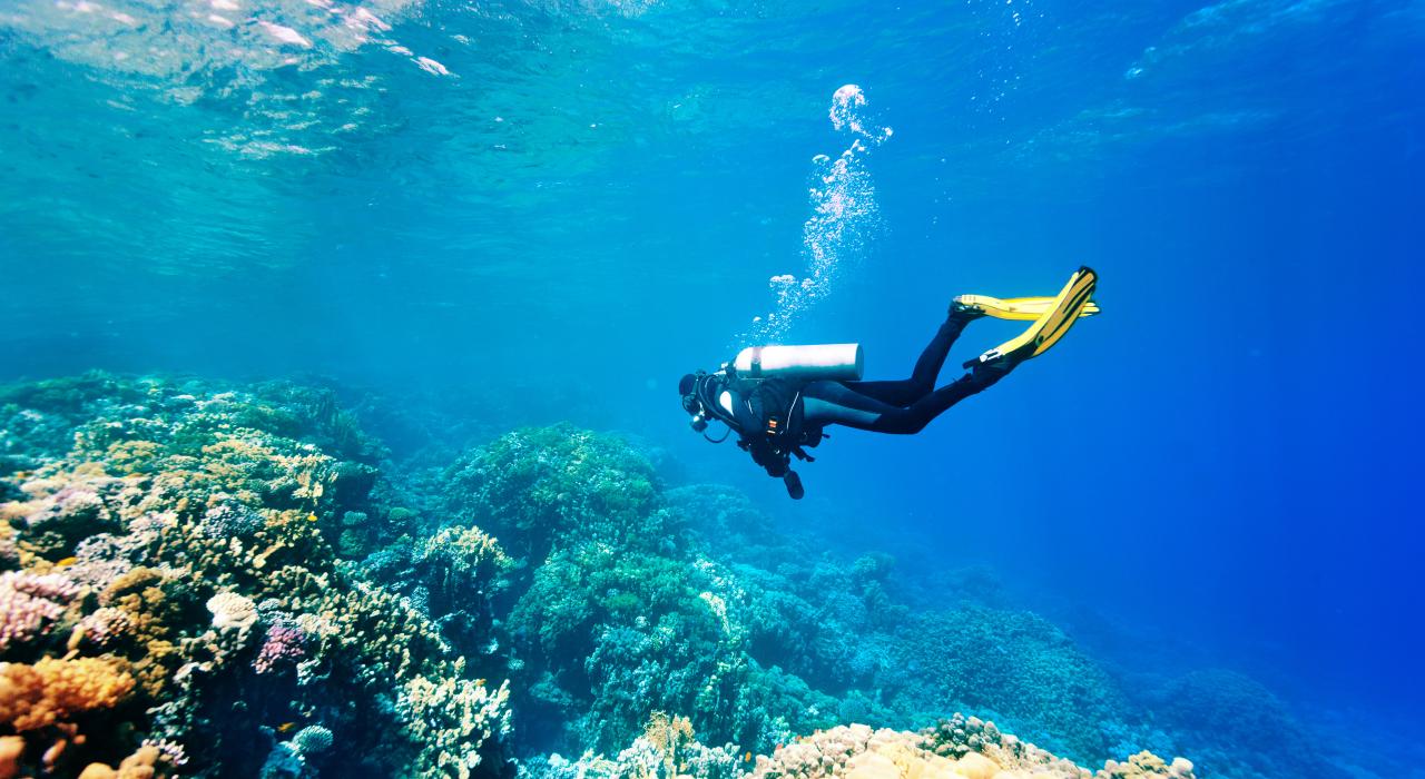 Plongeur explorant un récif corallien en pleine eau